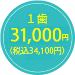 31,000円（税込34,100円）