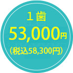 53,000円（税込58,300円）