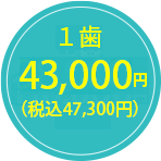 43,000円（税込47,300円）