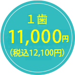 11,000円（税込12,100円）